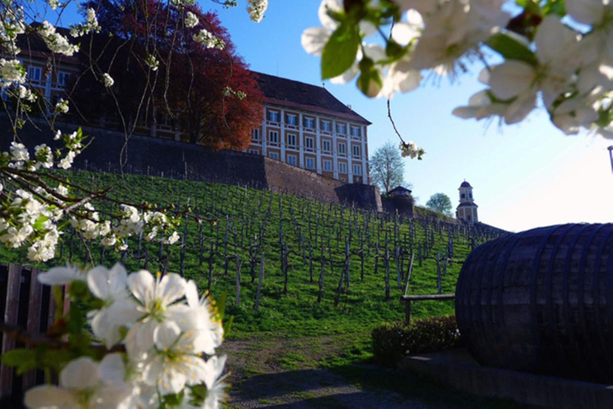 Hotel Stainzerhof Eksteriør billede